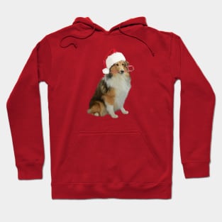 Xmas Sheltie Hoodie